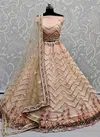 Anjani Net Wedding Wear Wholesale Lehenga Choli Collection